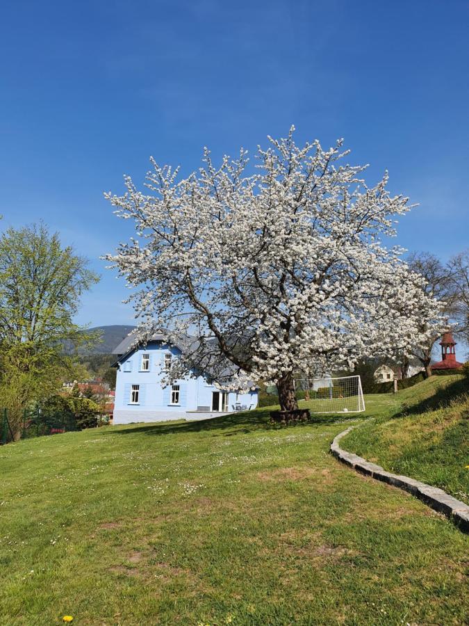 Blue Pension Svoboda nad Upou Exterior photo